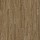 COREtec Plus: COREtec Plus Premium 9 Inch Wide Plank Treasure Pine